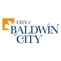City of Baldwin City