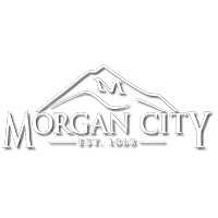 City of Morgan City