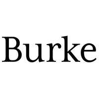City of Burke