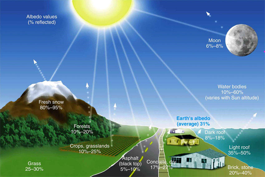 Black or blue solar panels: Which is better for your home?