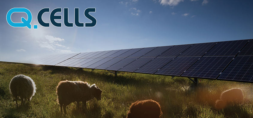 Q Cells solar panels