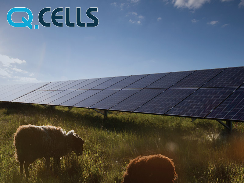 Hanwha Q Cells solar panels expert review. Are they the best solar panels to buy for your home?